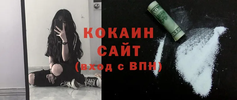 COCAIN Fish Scale  закладка  Куйбышев 